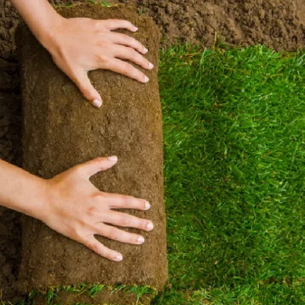 Natural Grass Installation